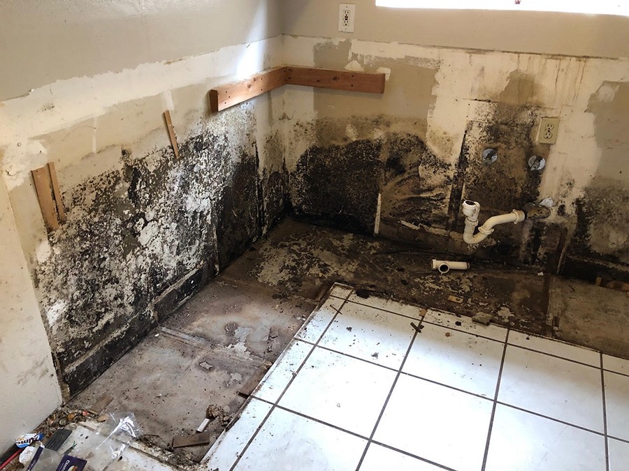 How to Treat Black Mold in Your Bathroom, A&J Property Restoration